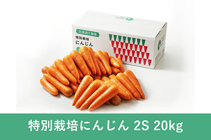8月上旬収穫開始 常温配送無料 産地直送 体に優しい人参 新鮮で安心 安全 コンパクトな2sサイズ カロテンたっぷり免疫力アップ 北海道産 洗いにんじん 2s kg 全国どこでも送料無料