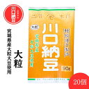 【川口納豆】 三つ折り 国産 納豆 宮城県産 大粒 20個入 送料無料