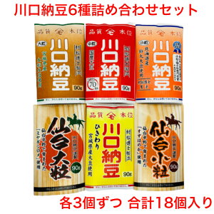 川口納豆 三つ折り 6種 セット 国産大豆 大粒納豆 小粒納豆 ひきわり納豆 国産 大豆 送料無料