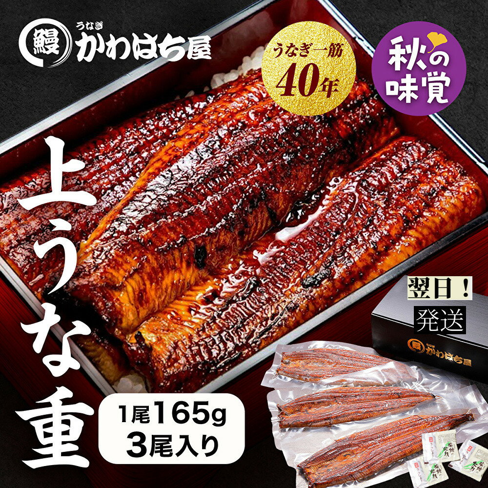 【秋の味覚】 うな重用 3人前 165g×3尾長焼き大サイズ 通常の1.5倍 うなぎ蒲焼大専門店の味 ...