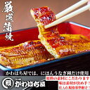  うなぎ 母の日 父の日 195g×2尾 蒲焼 タレ付 ウナギ 鰻 レンジ対応 特上蒲焼 お惣菜 グルメ お取り寄せグルメ 専門店の味 プレゼント ギフト 二ホンウナギ種 鰻の蒲焼 冷凍