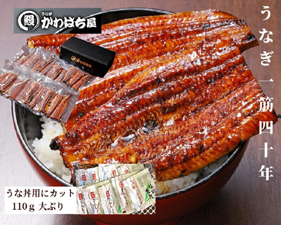 【4,950円】うなぎ 蒲焼き カット110g × 10パック