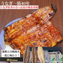 うなぎ かわはち屋 鰻 特撰紅白 蒲2尾 白1尾 日本種うなぎ 無添タレ焼 専門店の味 手焼き両方一度に楽しめる お惣菜 絶品お取り寄せ 贅沢な食感 惣菜 冷凍...