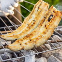 鰻の白焼き10人前/計1,650g(165g×10)肉厚で脂がのり通常の1.5倍の満足サイズわさび・山葵醤油・ポン酢であっさりとわさび付き・ギフトボックス・冷凍...