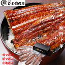 うなぎ蒲焼 鰻 特上うな重 195g×25尾 特上25人前 うなぎ 鰻 蒲焼 鰻蒲焼 かば焼き お取り寄せ 贈り物 調理簡単 冷凍保存 冷凍 うなぎ 冷凍うなぎ...