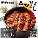 ひつまぶし タレ付き 小分け 【5人前 120g×5P】 櫃まぶし うなぎ 鰻 蒲焼 鰻蒲焼 かば焼き お取り寄せ 贈り物 調理簡単 冷凍保存 冷凍 うなぎ 冷...