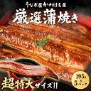 鰻 蒲焼き 195g×5尾 うなぎ 鰻 蒲焼 鰻蒲焼 かば焼き お取り寄せ 贈り物 調理簡単 冷凍保存 冷凍 うなぎ 冷凍うなぎ 冷凍惣菜 冷凍 惣菜 特大 土...