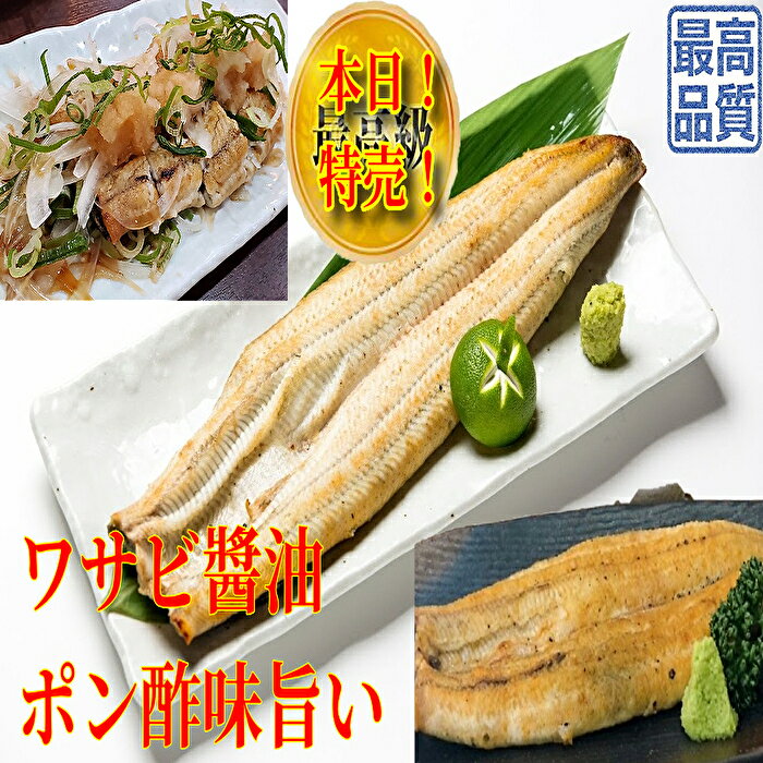 【エントリーでポイント10倍】特撰うなぎ紅白セット 3人前 計495g 蒲焼165g×2尾＋白焼165g×1尾 かわはち屋 通常の1.5倍 大きめ満足サイズ 食べ比べ うなぎ鰻ウナギ蒲焼専門店の味 贈り物 プレゼント ギフト お中元 内祝い 誕生日 お返し 送料無料 土用丑の日 父の日 kawahachiya-10000030 かわはち屋 サンプル画像2