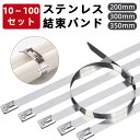 結束バンド ステンレス 10-100本セット 200mm 300mm 350mm タイラップ バンド インシュロック バンド ホースバンド 屋外 コード まとめる 配線止め マジックテープ コード クリップ 配線 整理 ケーブル 送料無料