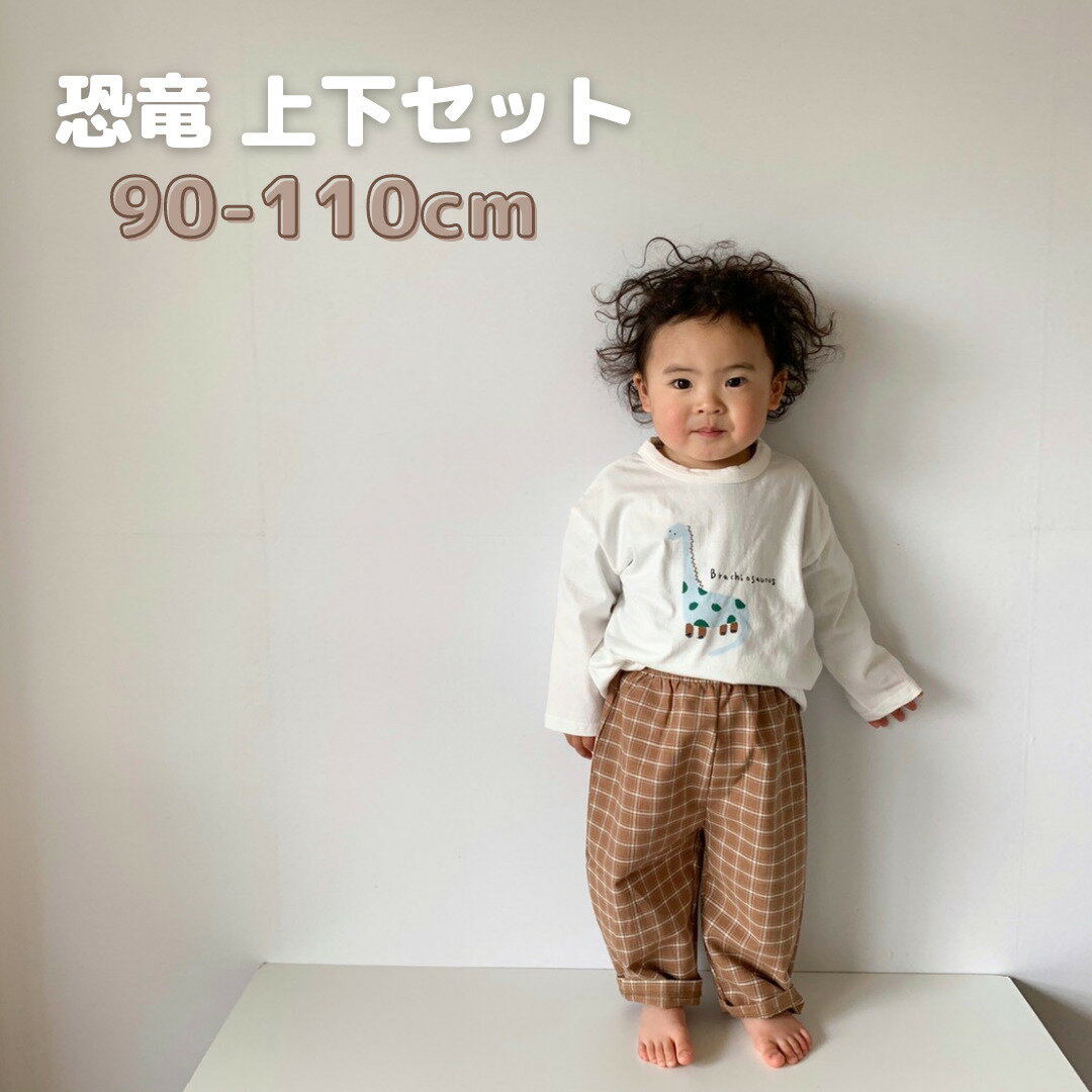 【公式LINE追加で10%OFF】【残り100cm 110cmのみ】キッズ 恐竜 上下セット トップ ...