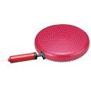 ハタス フィットネス トレーニング 器具 バランスディスク バランスクッション ポンプ付き セット DK-450P(4)