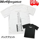 ワールドペガサス ウェア 野球 Tシャツ 半袖 バックプリント WAPTS101 ホワイト／ブラック メール便送料無料