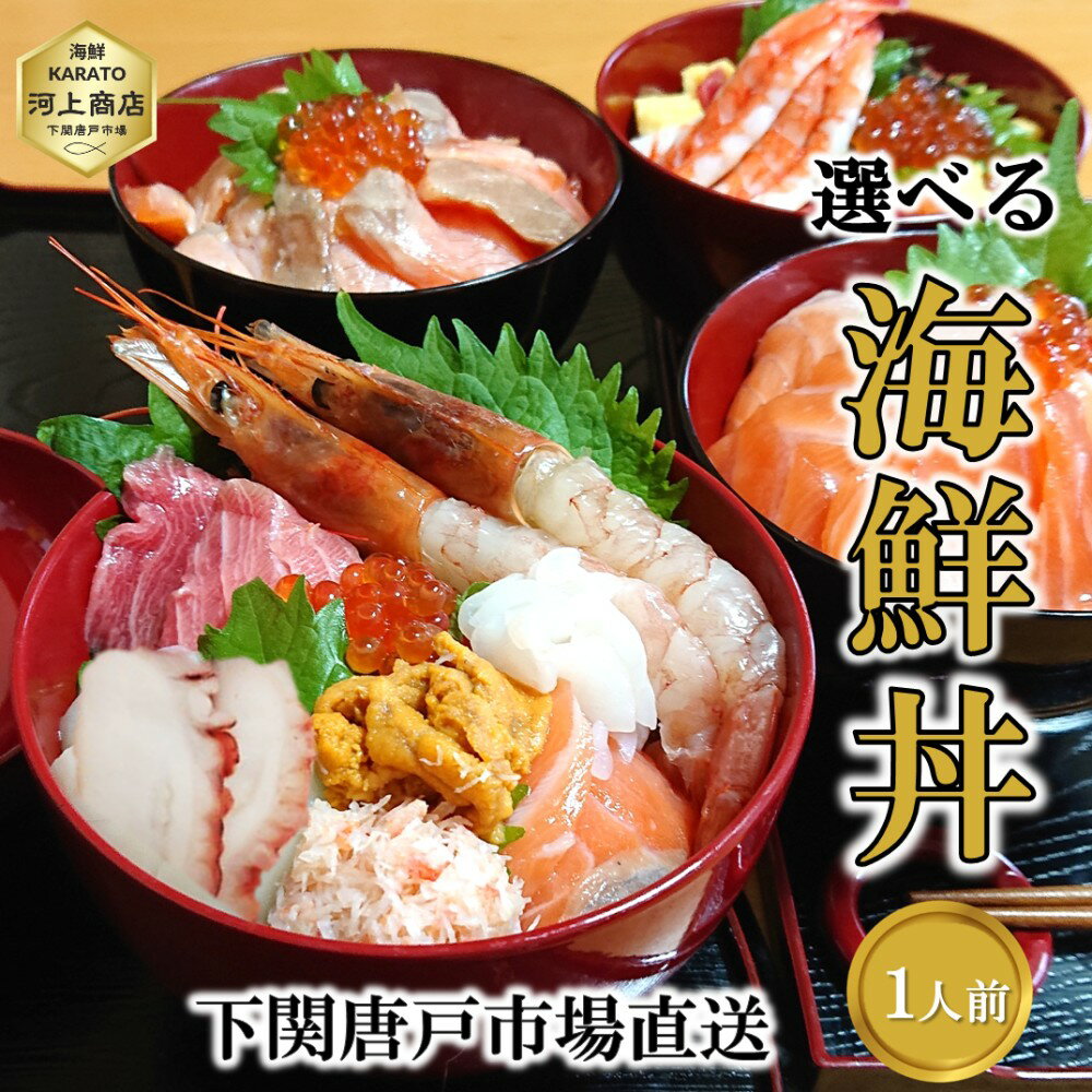 海鮮丼 セット 1人前 海鮮丼の具 自然解凍OK 4種から選べる 海鮮ちらし 炙りサーモン サーモン まぐろ エビ イカ うに イクラ カニ タコ 海鮮グルメ 御祝 お誕生日祝 プレゼント 御礼 年末年始 お歳暮 おせち料理 送料無料 下関唐戸市場