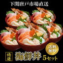 下関唐戸市場 直送 特選 海鮮丼 5個