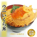 うにいくら 丼 セット ウニ イクラ 無添加 生ウニ 鱒 いくら醤油漬け 2人前 4人前 海鮮丼セット 刺身 いくら 握り寿司 手巻き寿司 おつまみ 晩酌 送料...