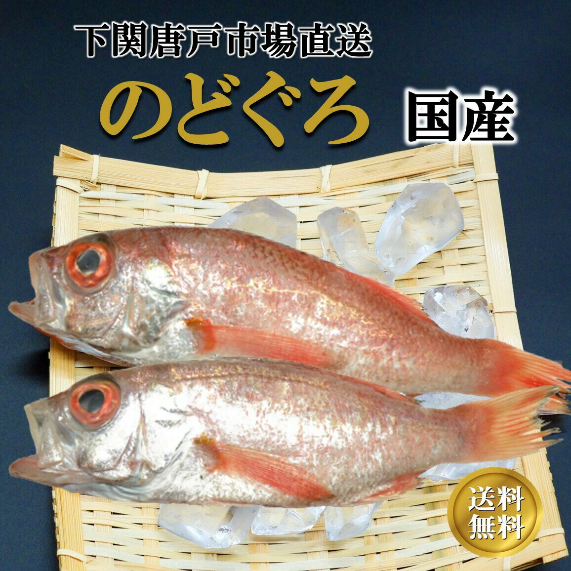 のどぐろ 下関産 ノドグロ 2尾 塩焼き 煮付け 冷凍 送料無料 国産 高級魚 赤ムツ 数量限定 贅沢グルメ 鮮魚 贈答用 プレゼント 海鮮ギフト 厳選ギフト 下関漁港 下関唐戸市場