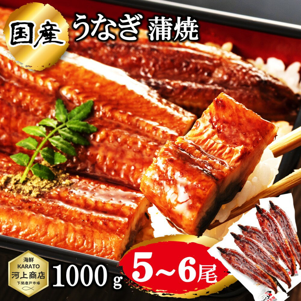 うなぎ 国産 鰻 ウナギ 蒲焼き 蒲焼 鰻の蒲焼 1000g 5尾 セット特大サイズ 大容量 うなぎ蒲焼き 土用の..