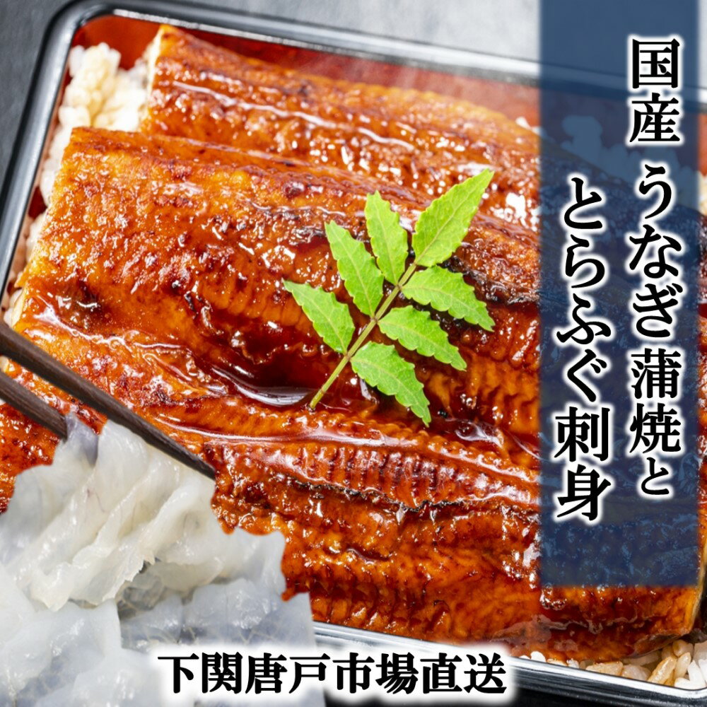 うなぎ 国産 鰻 ウナギ 蒲焼き 蒲焼 鰻の蒲焼 160g 前後 とらふぐ てっさ ふぐ刺し セット fugu うなぎ蒲焼き unagi 土用の丑 ギフト お誕...