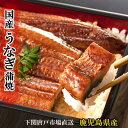 お中元 ギフト 土用 丑の日 送料無料 3,890円~ 国産 うなぎ蒲焼き 鰻 ウナギ 蒲焼 鹿児島産 unagi 選べるサイズ 160g 180g 200g セット 1尾 2尾 タレ&山椒 食べ方の説明書同封 贈り物 記念日 お誕生日祝 プレゼント 御祝 ご挨拶 お礼 贈答品