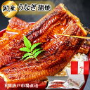 【母の日 ギフト】うなぎ 国産 鰻 ウナギ 蒲焼き 蒲焼 鰻の蒲焼 160g~200g 前後 特大