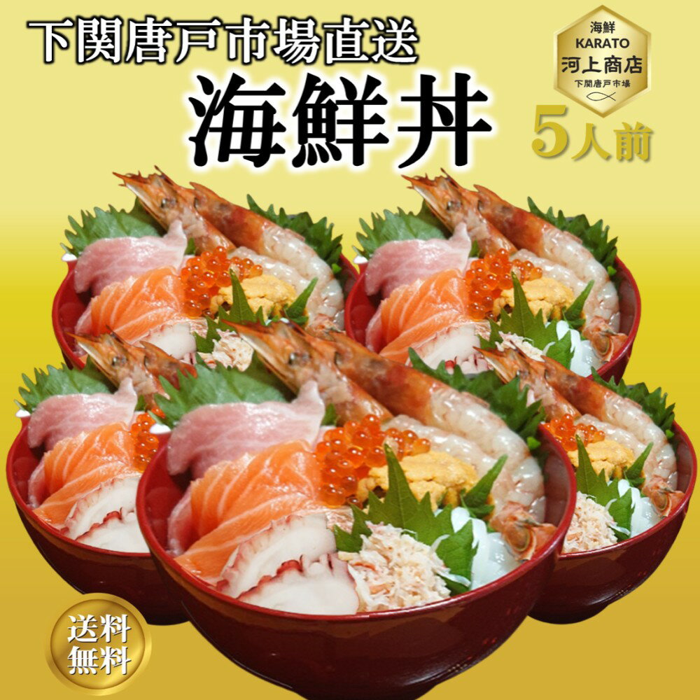 海鮮丼 冷凍 5個 セット 海鮮 8種盛り 海鮮丼の具 刺身 マグロ 海鮮詰め合せ セット グルメ ギフト お..