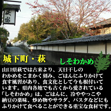 【送料無料】 しそわかめ 90g 5袋セット 山口・萩 井上商店 ソフトふりかけ おにぎり おむすび ご飯のお供 山口県お土産 ふりかけ お茶漬け ふりかけ プチギフト 下関唐戸市場 河上商店