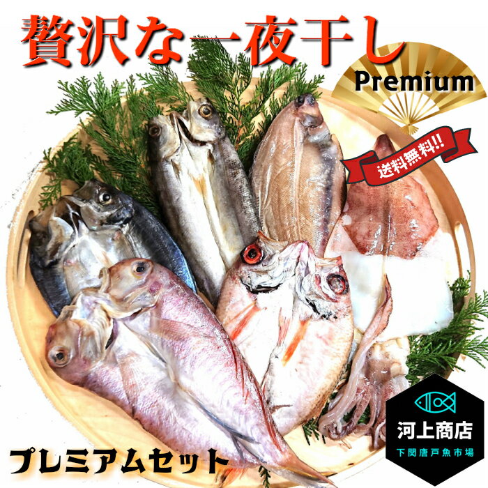 下関 唐戸魚市場 直送 【敬老の日 ギフト】 贅沢な一夜干し Premium 干物セット 送料無料 国産 天然 海鮮グルメ プレミアム のどぐろ あまだい あじ いか かます ささがれい 厳選商品 一夜干しセット 詰め合わせ 贈答品 海鮮ギフト