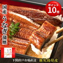 ポイント10倍!25日まで お中元 ギフト 土用 丑の日 送料無料 3,890円~ 国産 うなぎ蒲焼き 鰻 ウナギ 蒲焼 鹿児島産 unagi 選べるサイズ 160g 180g 200g セット 1尾 2尾 タレ&山椒 食べ方の説明書同封 贈り物 記念日 お誕生日祝 プレゼント 御祝 ご挨拶 お礼 贈答品