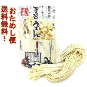 【おためし便】半生手延べうどん300g（3人前） 送料無料 送料込み 手延べうどん 冬季限定 島原うどん 半生うどん 年明けうどん お歳暮 贈答 ポイント消化