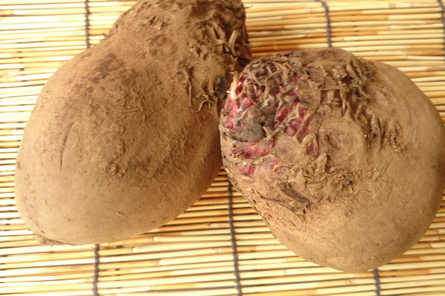 【旬のオススメ】長野県産　ビーツ(Lサイズ・約1kg、2〜5個入り)のサムネイル