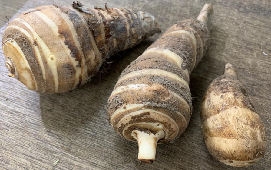 海老芋のレシピ7選 簡単で美味しい人気料理や下ごしらえも詳しくご紹介 Kurashi No