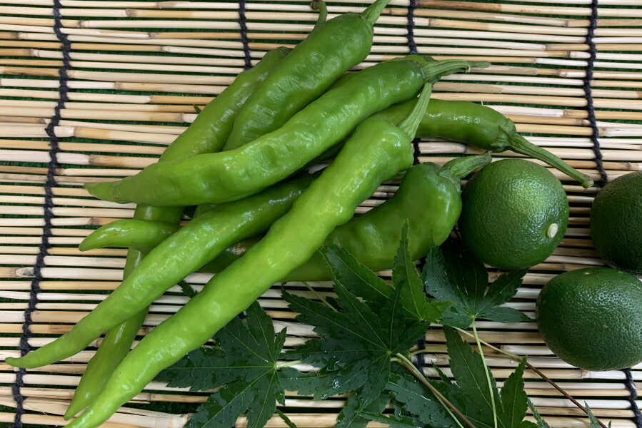 【ブランド京野菜】 京都府産 伏見とうがらし 100グラム入 