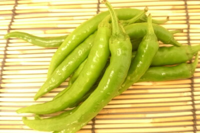 ご飯が止まらない青唐辛子の人気レシピ5選 辛くない料理も紹介 Botanica ご飯が止まらない青唐辛子の人気レシピ5選 辛くない料理も紹介 Botanica