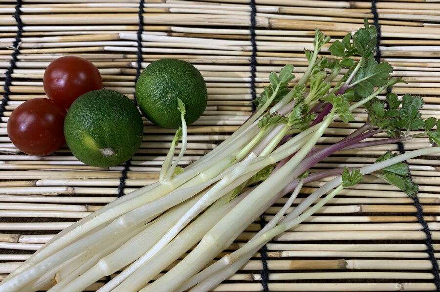 【新着】茨城県産　浜防風