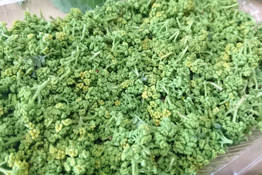 【新着】奈良県吉野産　花山椒（約100g）