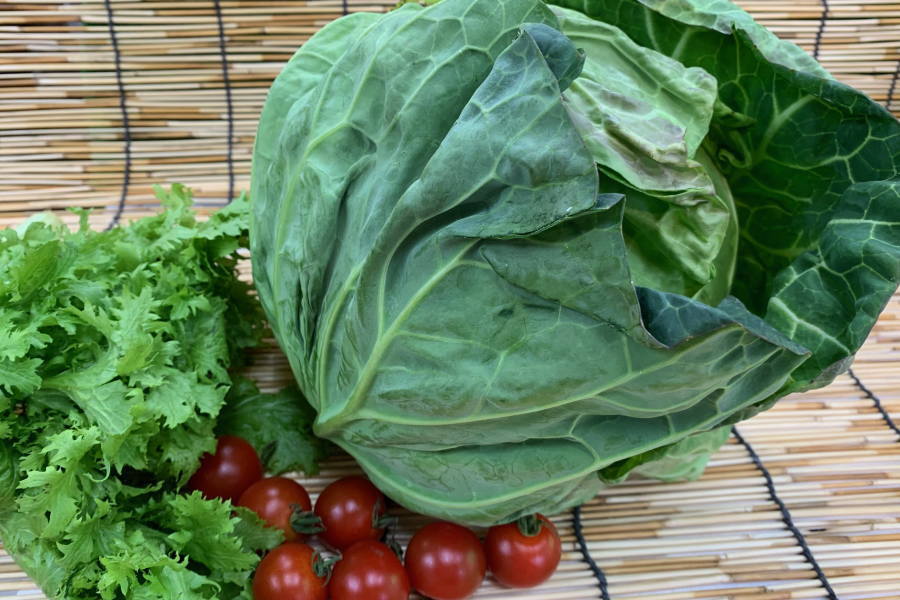 �ڿ���۰��θ���¾���ե���٥�(1�ġ�