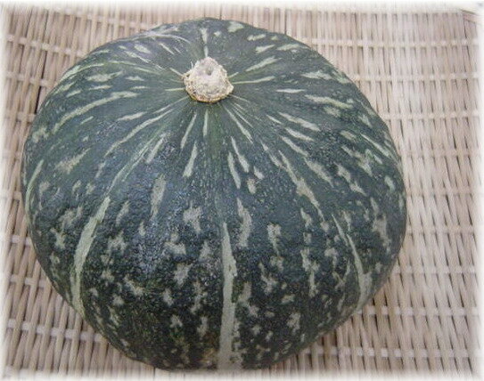 北海道産 栗かぼちゃ えびす(1個)