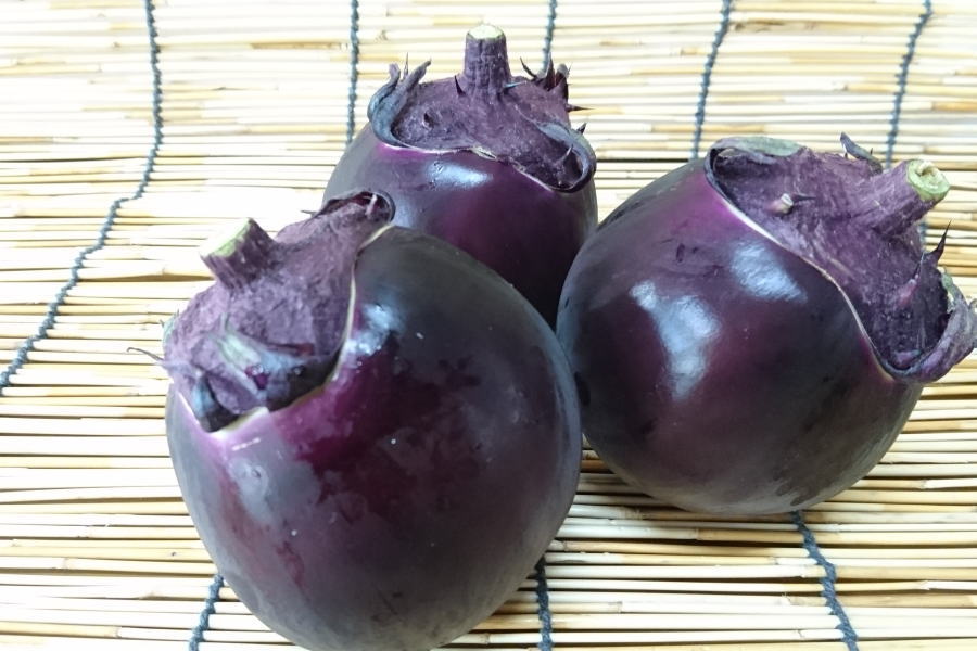 【ブランド京野菜】京都府産　賀茂茄子（Lサイズ、1個） kawamasa-10000005 京野菜 錦 川政 サンプル画像3