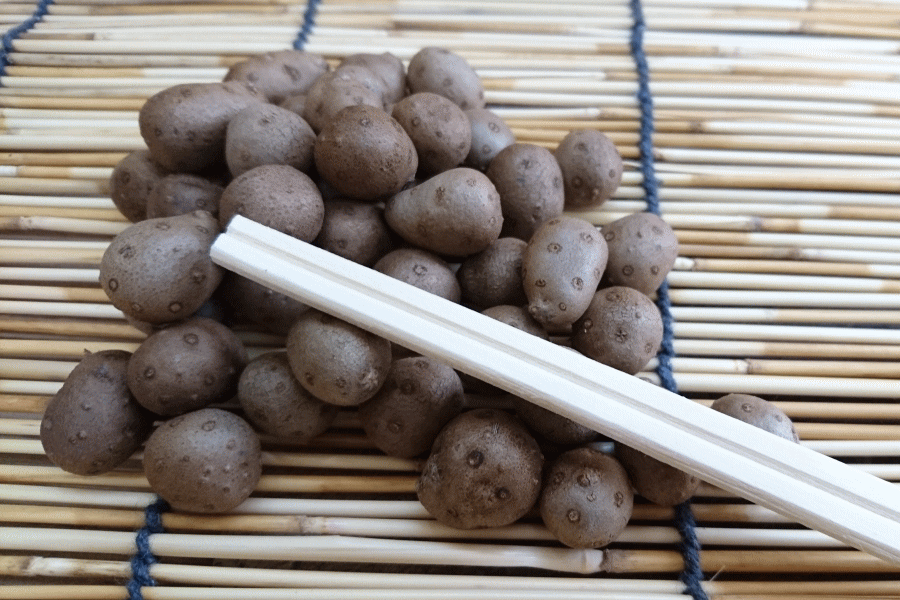 鳥取県産 むかご(2Lサイズ) 200g