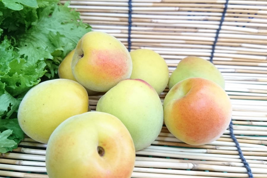 【新着】和歌山県産　紀州の南高梅（1kg入）のサムネイル