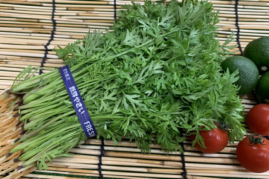 �ڥ�������۵����ܻ������Τˤ󤸤��ա�1«��