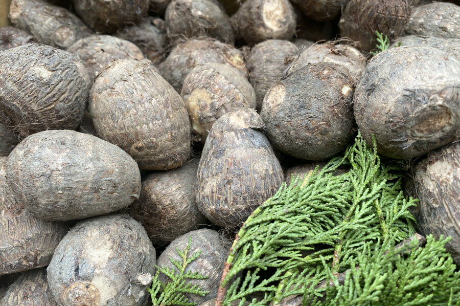 ��ɲ������Τ���M�������ˡ�2kg��