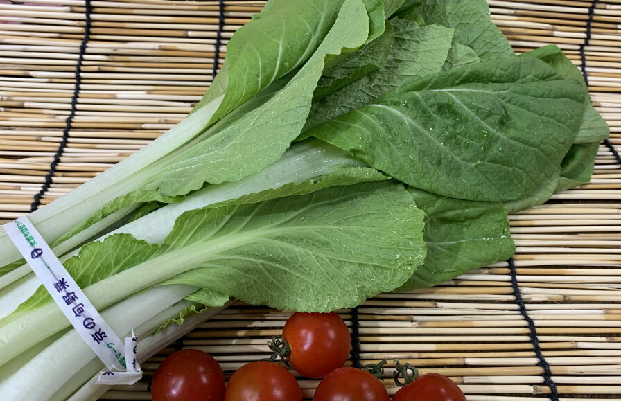 �����ܻ��������ڡ�1«��