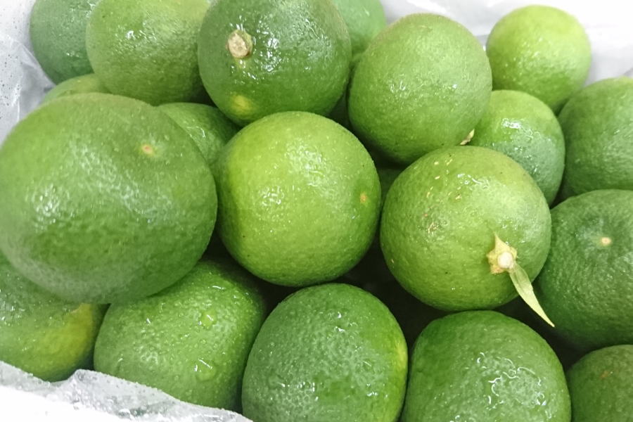 徳島県産 すだち(2Lサイズ）1箱約1kg入り
