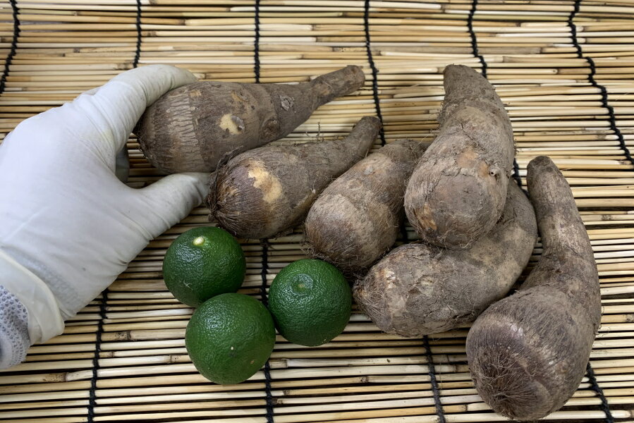 【旬のオススメ】大阪富田林産　孫海老芋（こえびサイズ　500g）