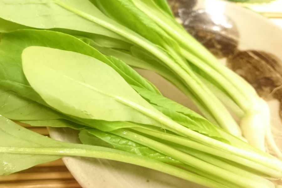 ���θ���������������(1«)