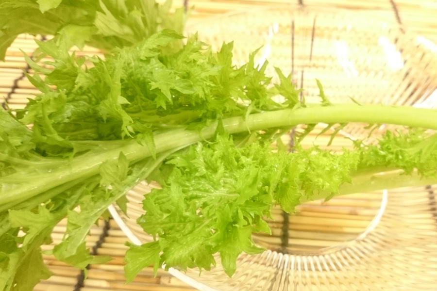 ���츩�����蘆�Ӻ�(1«)
