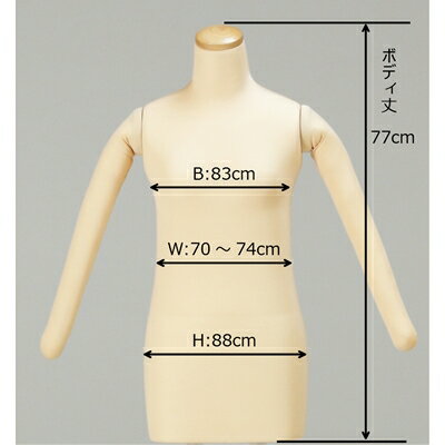 和装ボディKA-28 腕あり スタンド色アイボリー 日本製