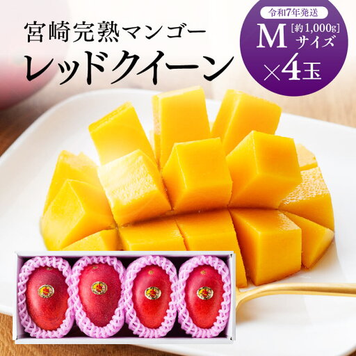 【令和7年発送】宮崎県産完熟マンゴー 「レッドクイーン」M×4玉 【令和7年発送】宮崎県産完熟マンゴー 「レッドクイーン」M×4玉