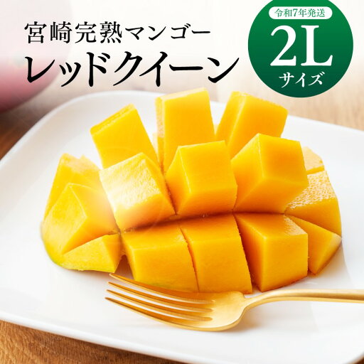【令和7年発送】宮崎県産完熟マンゴー「レッドクイーン」2L 【令和7年発送】宮崎県産完熟マンゴー「レッドクイーン」2L
